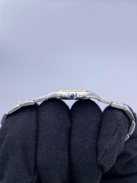 Cartier Panthere W25029B6